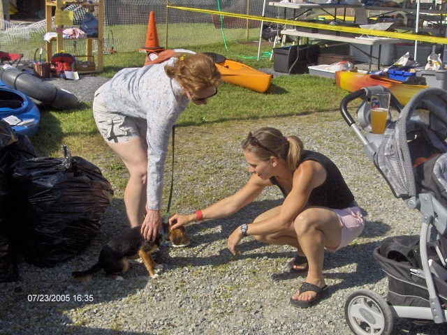 Barbecue Festival